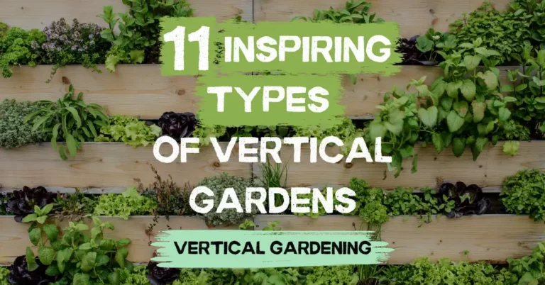 types of vertical gardens