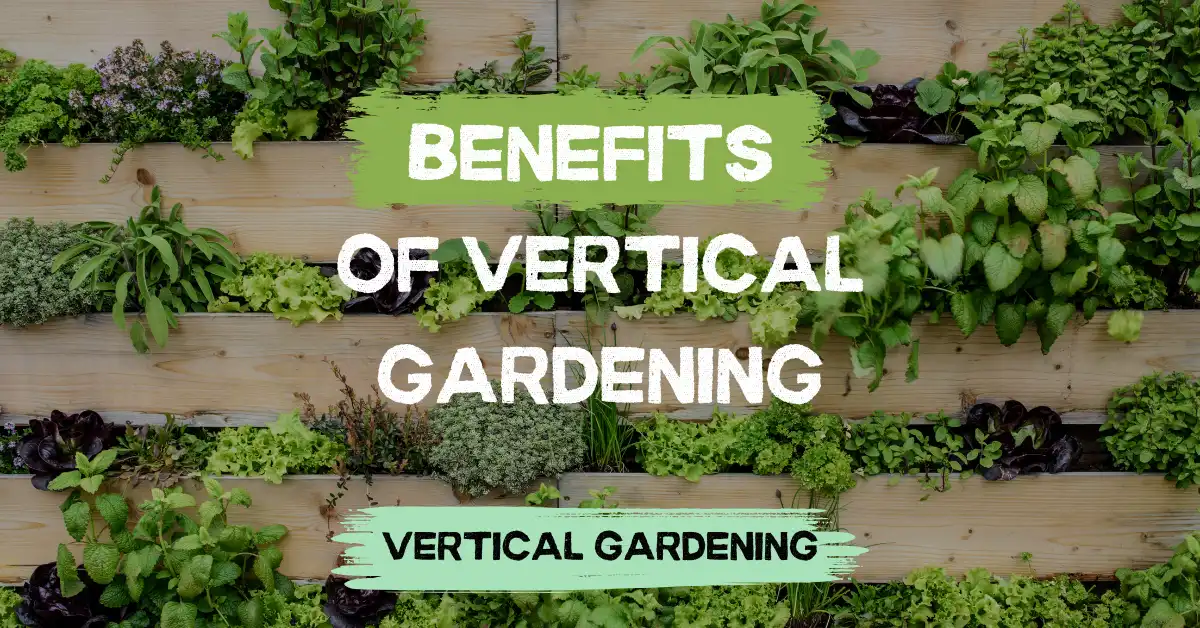 benefits of vertical gardening