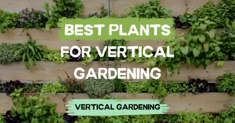 best plants for vertical gardening