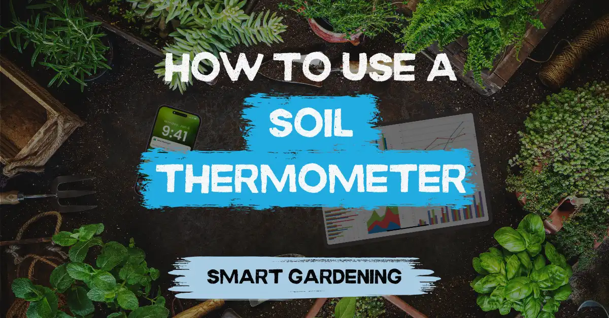 soil thermometer