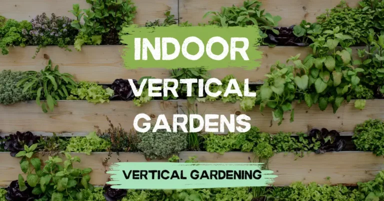 indoor vertical gardens