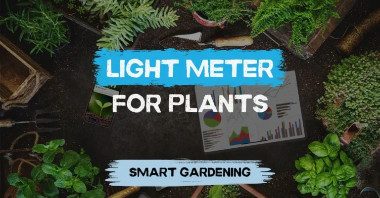 light meter for plants