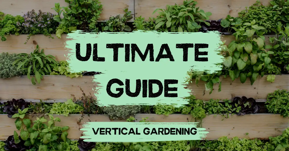 vertical gardening ultimate guide