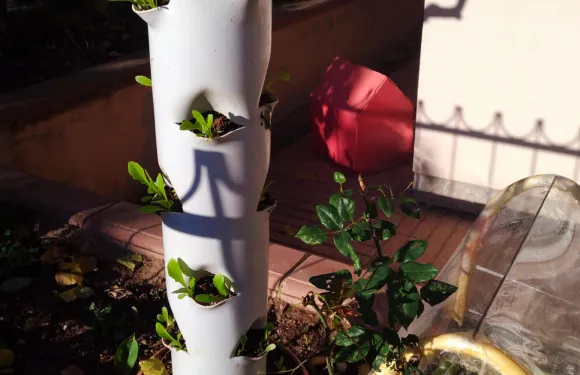 diy vertical gardening with PVC pipe