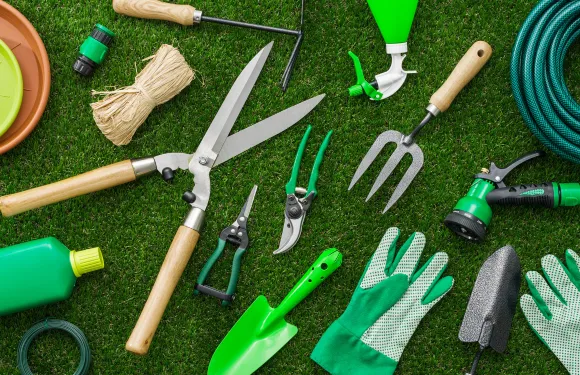 essential tools for vertical gardening