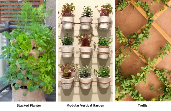 vertical garden types