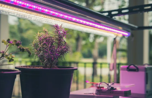 grow lights indoors