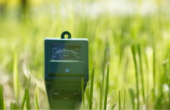 light meter measuring the light