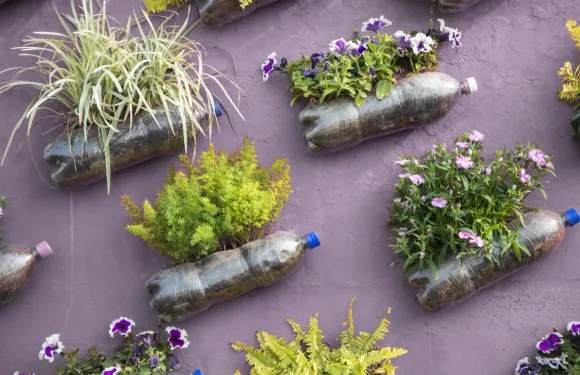 plastic bottles used for planting