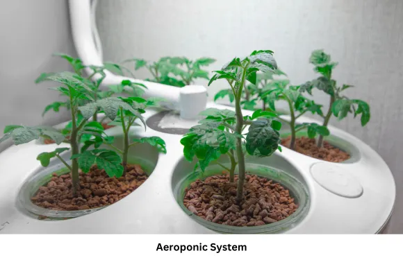 smart indoor gardening system aeroponic system