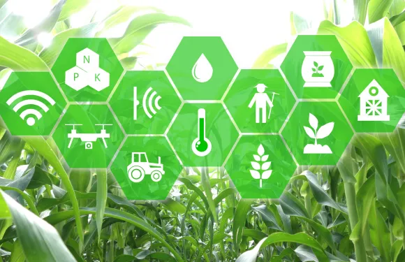 key features of smart plant sensors