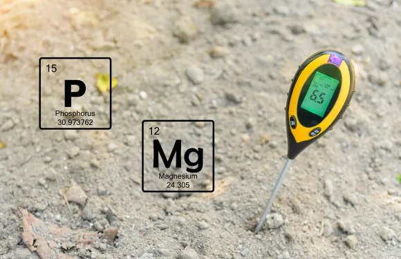 soil sensor measuring ph and two graphics for phosphorus and magnesium