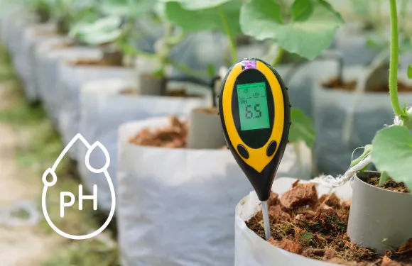 soil sensor measuring ph