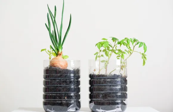 sustainable diy vertical garden, plants in plastic bottles