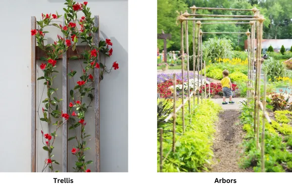 trellis and arbors types of vertical gardens