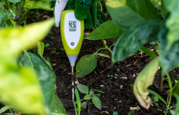 measuring moisture with a wireless soil moisture sensor