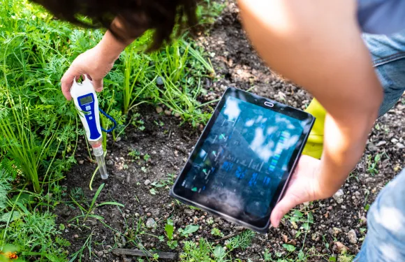 woman measuring with wireless soil moisture sensor