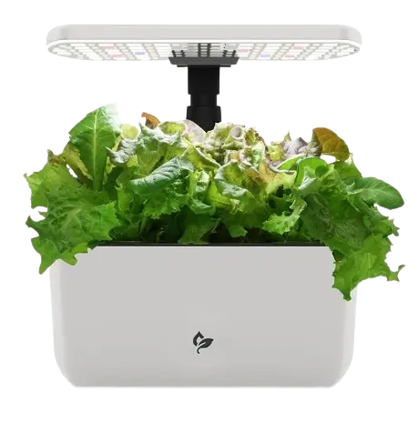 AeroGarden Harvest best hydroponic indoor garden