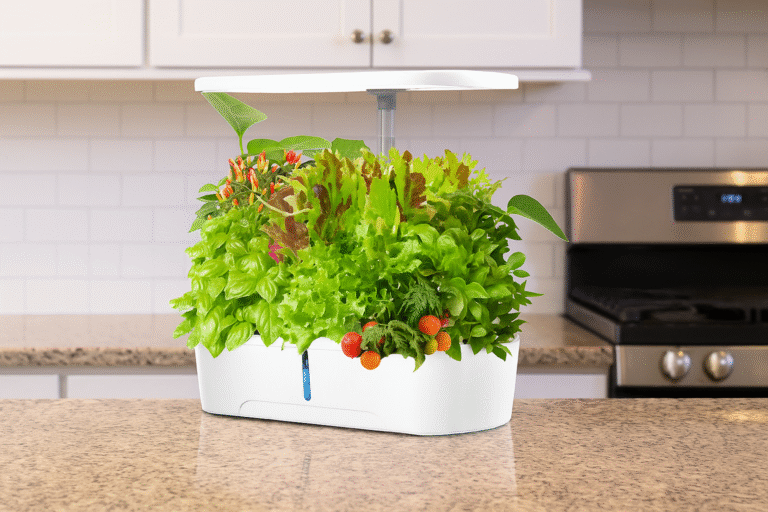 best hydroponic indoor garden on a kitchen counter with greens and vegetables