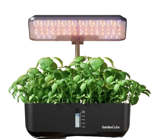 gardencube hydroponic indoor garden system