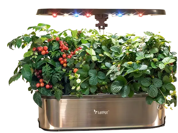 LetPot indoor hydroponics